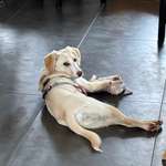 Ersteller:in Laura Profilbild