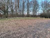 Hundeauslaufgebiet-Alte Aller in Etelsen-Bild