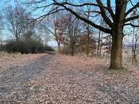 Hundeauslaufgebiet-Alte Aller in Etelsen-Bild