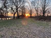 Hundeauslaufgebiet-Alte Aller in Etelsen-Bild