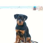 Ersteller:in Sandra Profilbild