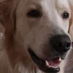 Ersteller:in Ramona Profilbild