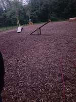 Hundeauslaufgebiet-Am Steinbergpark-Bild