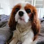 Ersteller:in denise Profilbild