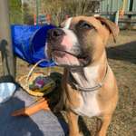 Ersteller:in Jessica Profilbild