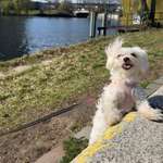 Ersteller:in Nicole Profilbild