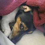 Ersteller:in Marcel Profilbild