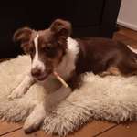 Ersteller:in Matthias Profilbild