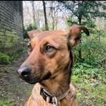 Ersteller:in Natalia Profilbild