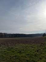 Hundeauslaufgebiet-Richteberg-Bild