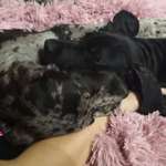 Ersteller:in Raphaela Profilbild