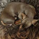 Ersteller:in Cora Profilbild