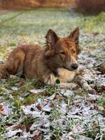 Suchmeldung-Kami-Bild