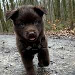 Ersteller:in Sabrina Profilbild