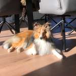 Ersteller:in Christiane Profilbild