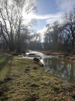 Hundeauslaufgebiet-Paar Ottmaring-Bild