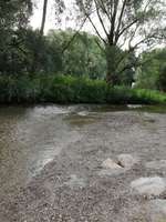 Hundeauslaufgebiet-Paar Ottmaring-Bild