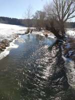 Hundeauslaufgebiet-Paar Ottmaring-Bild