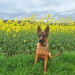 Ersteller:in Nadine Profilbild