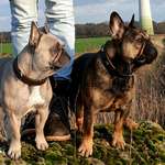 Ersteller:in Florian Profilbild