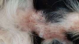 Wissen nicht mehr weiter-Beitrag-Bild