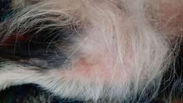 Wissen nicht mehr weiter-Beitrag-Bild