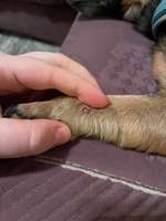 Warze oder Tumor?-Beitrag-Bild