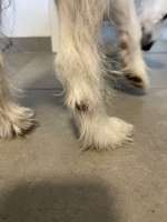 Offene Stelle-Beitrag-Bild