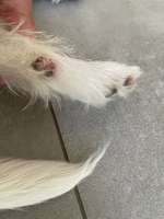 Offene Stelle-Beitrag-Bild