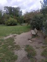 Hundeauslaufgebiet-Nachbarschaftspark-Bild