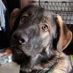 Ersteller:in Andrea Profilbild