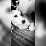 Ersteller:in Chelli Profilbild