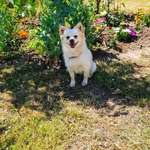 Ersteller:in Dilek Profilbild