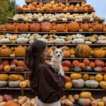 Ersteller:in Annika Profilbild