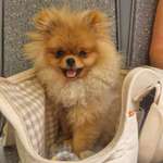 Ersteller:in Maria Profilbild