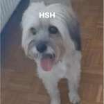 Suchmeldung-Unbekannt-Bild