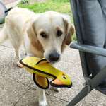 Ersteller:in Conny Profilbild