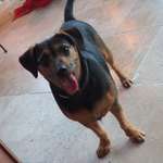 Ersteller:in Caro Profilbild