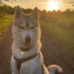 Ersteller:in Katrin Profilbild