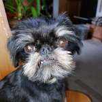 Ersteller:in Andrea Profilbild