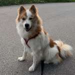 Ersteller:in Florencia Profilbild