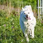 Ersteller:in Silvia Profilbild