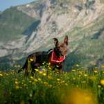 Ersteller:in Nadine Profilbild