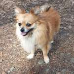 Ersteller:in Bodo Profilbild