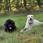 Ersteller:in Dennis Profilbild