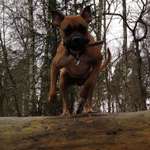 Ersteller:in Katrin Profilbild