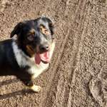 Ersteller:in Susan Profilbild