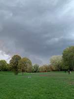 Hundeauslaufgebiet-Nippeser Tälchen/Niehler Kirchweg-Bild