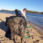 Ersteller:in Björn marcel Profilbild