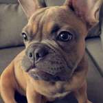 Ersteller:in Laura Profilbild